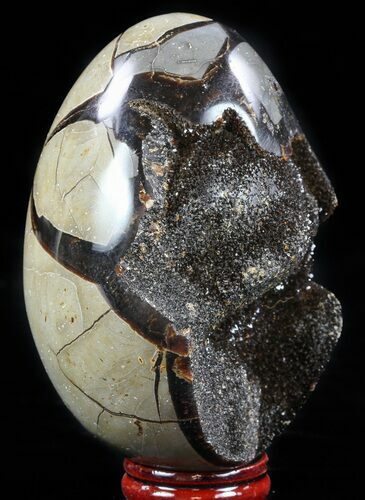 Septarian Dragon Egg Geode - Black Crystals #57343